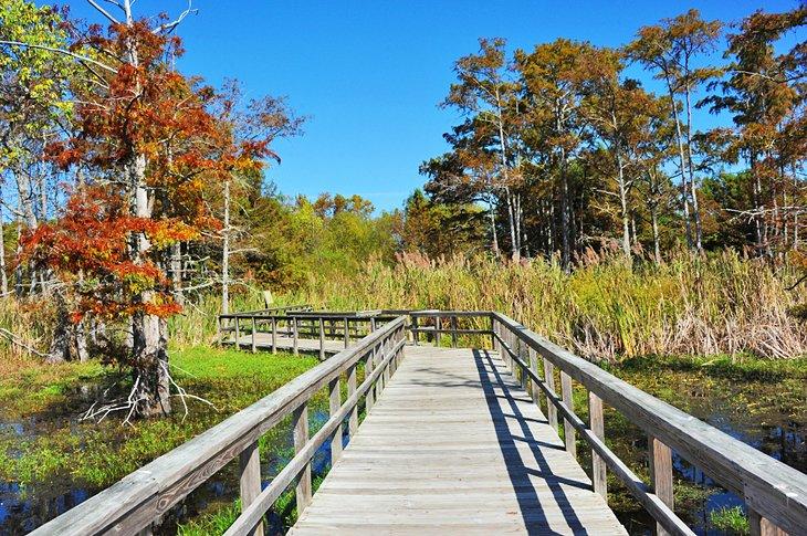 Pasarela de madera en el Refugio Nacional de Vida Silvestre Black Bayou Lake