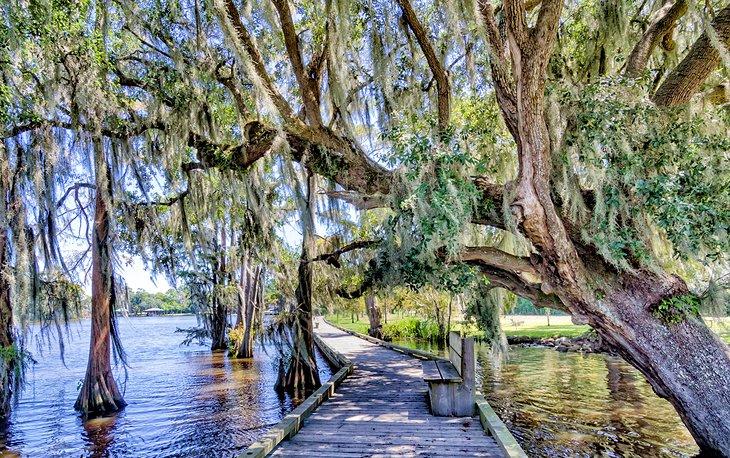 Parque Estatal Fairview Riverside cerca de Madisonville