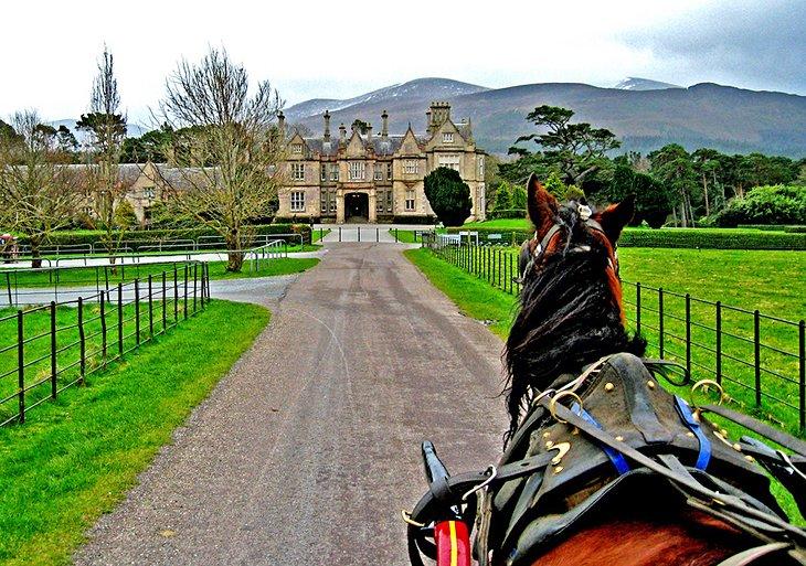 Casa Muckross