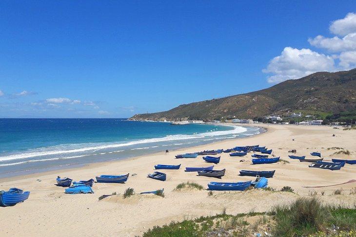 Playa de Dalia