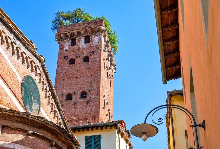Torre Guinigi