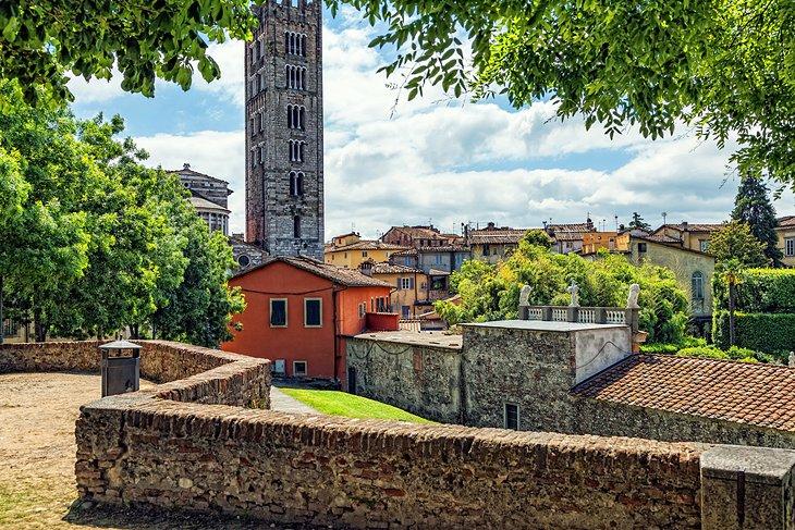 Las murallas de Lucca