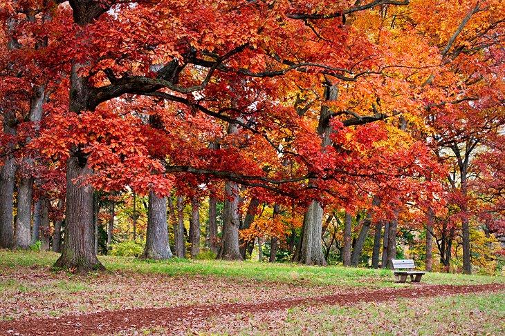 El Morton Arboretum