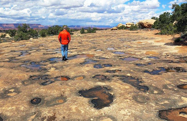 Pfützen nach Regen in Canyonlands, Needles Division