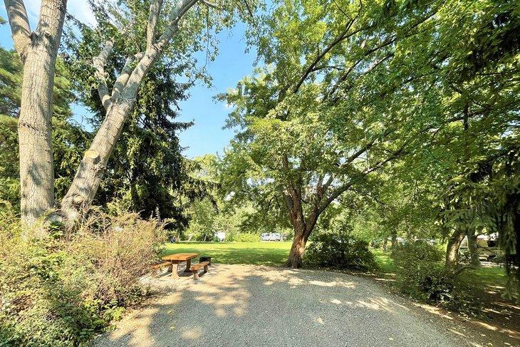 Área de camping en el Parque Provincial Bear Creek