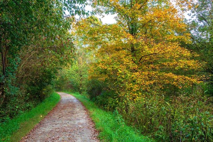 Sendero Montour