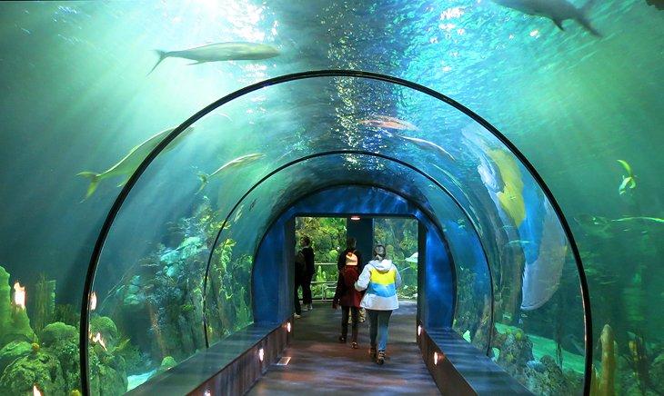 Moody Gardens et Aquarium Pyramid
