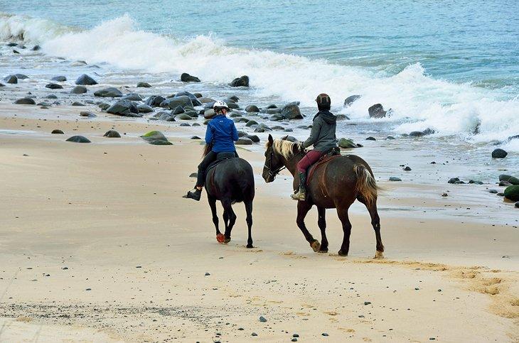 Montando a Caballo en la Playa