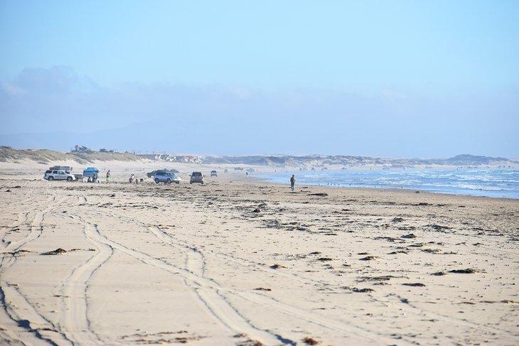 Área de Recreación de Vehículos de Oceano Dunes