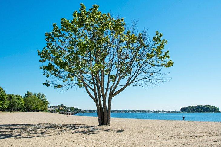 Calf Pasture Beach