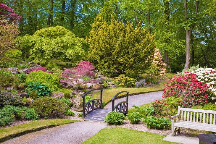 Jardines Johnston, Aberdeen