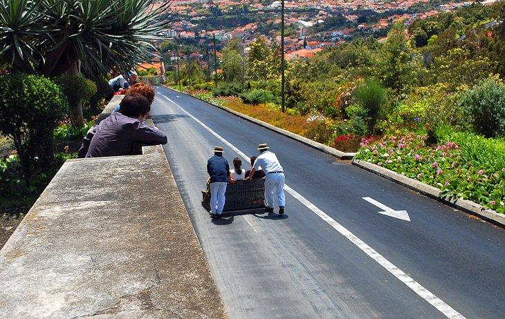 Monte Toboggan Run