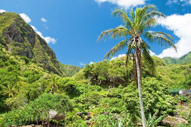 Valle Iao
