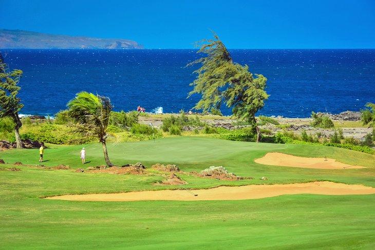 Vista de la Bahía Kapalua desde el campo de golf