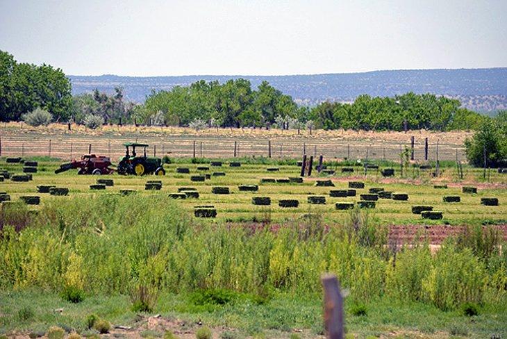 Kewa Pueblo, Nouveau-Mexique