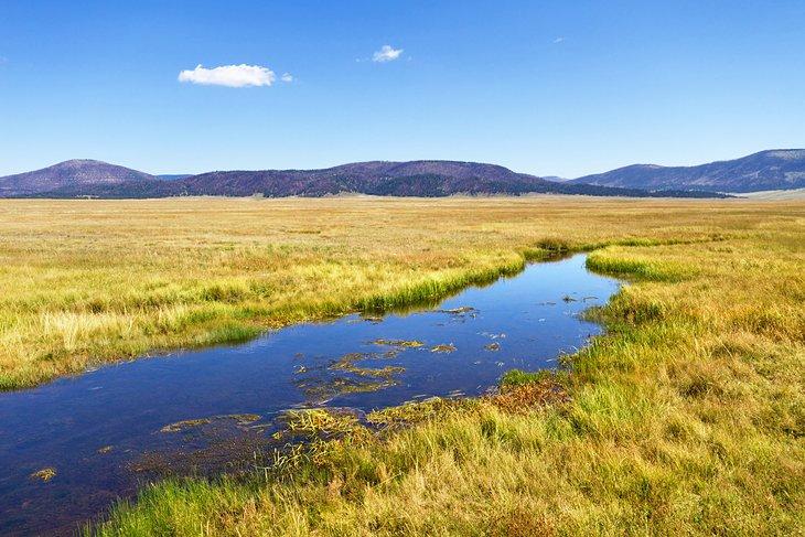 Rivière Jemez près du Pueblo de Santa Ana