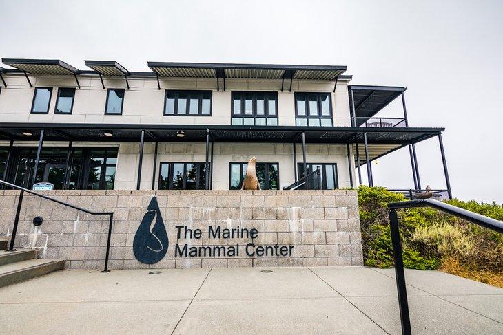 Centre des Mammifères Marins | Sundry Photography / Shutterstock.com