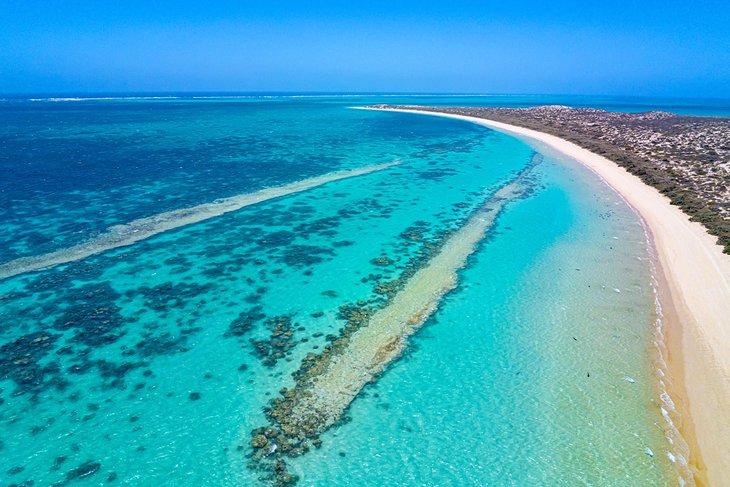 Vista aérea del Arrecife Ningaloo