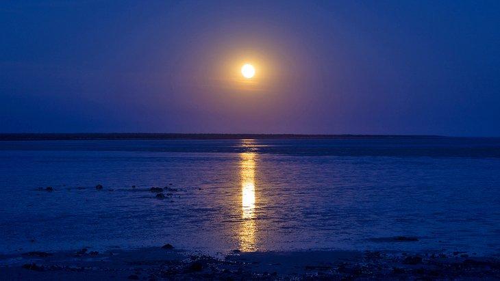 Escalera a la Luna en Broome, Australia Occidental