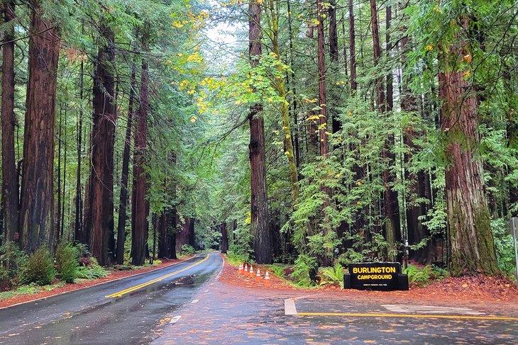 Camping Burlington, Parque Estatal Humboldt Redwoods