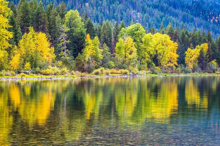 Colores otoñales en el Bosque Nacional Okanogan-Wenatchee
