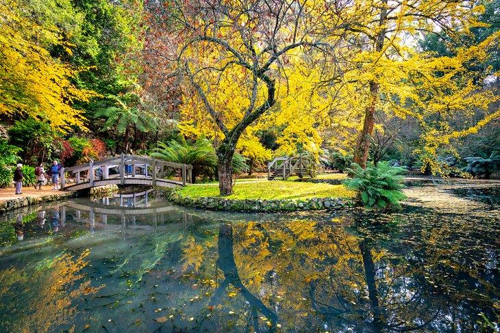 Alfred Nicholas Memorial Garden
