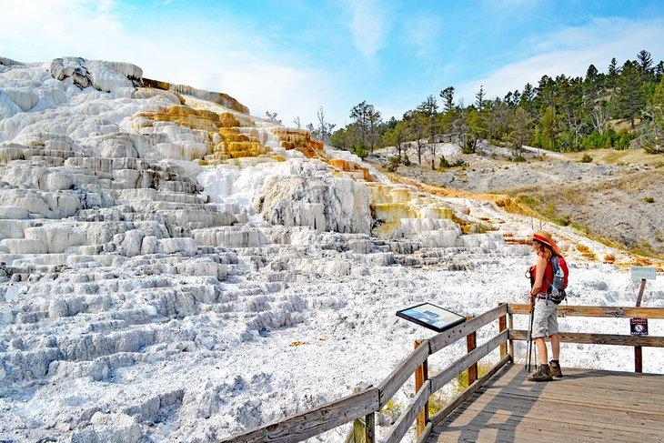 Terrazas de travertino en Mammoth Hot Springs, Parque Nacional Yellowstone