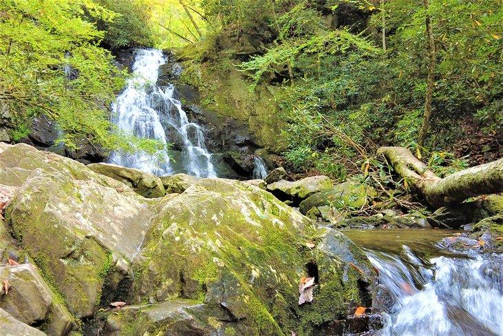 Sendero Spruce Flats Falls