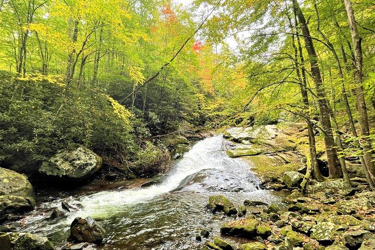 Cascada Lynn Camp Prong