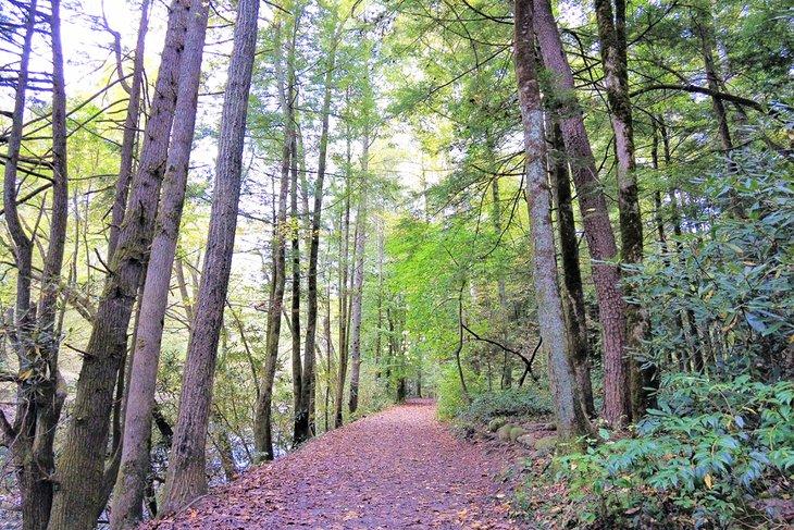 Sendero Gatlinburg