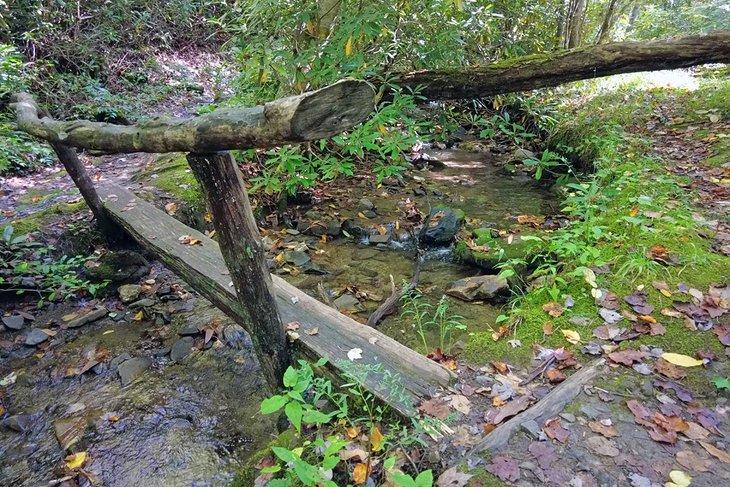Sendero Elkmont Nature