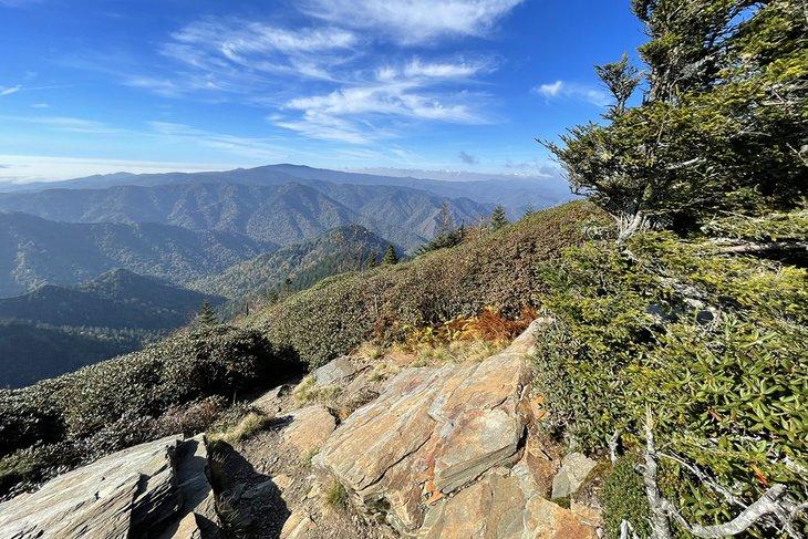 Cumbre del Monte LeConte en las Montañas Humeantes