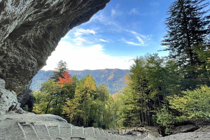 Cima del Sendero Alum Cave