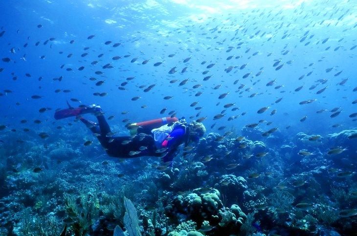 Plongeur dans Saint-Vincent et les Grenadines