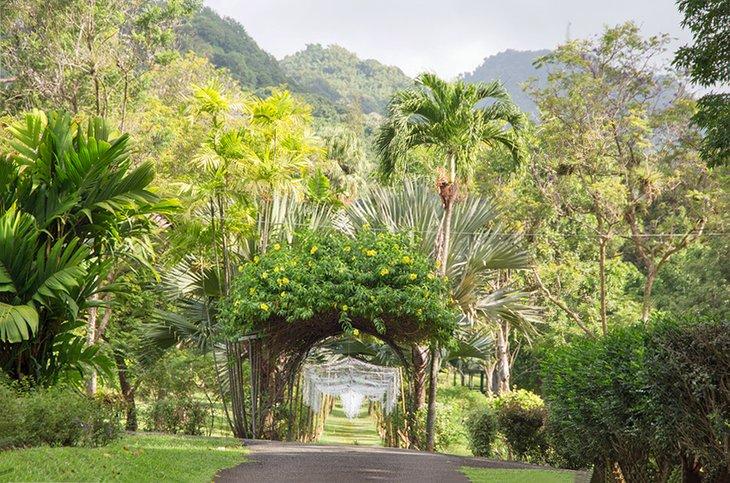 Jardins botaniques de Saint-Vincent et les Grenadines