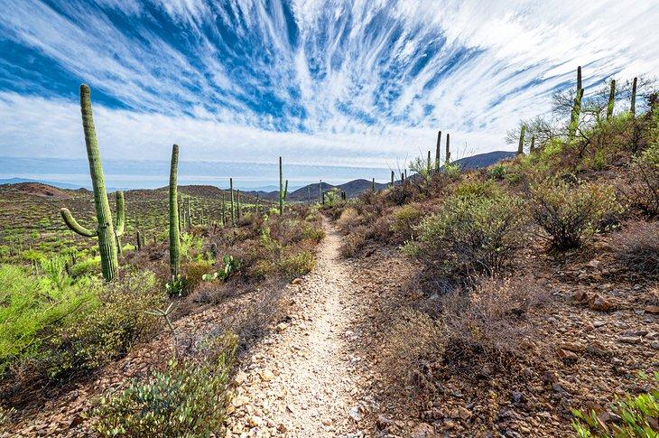 Sendero a través del Parque de las Montañas de Tucson