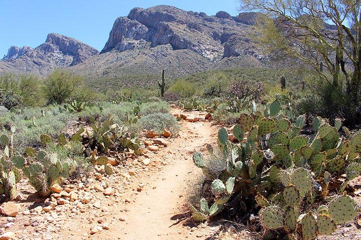 Sendero Linda Vista