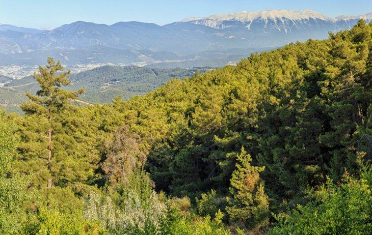 Antikes Olympos und die Chimaera