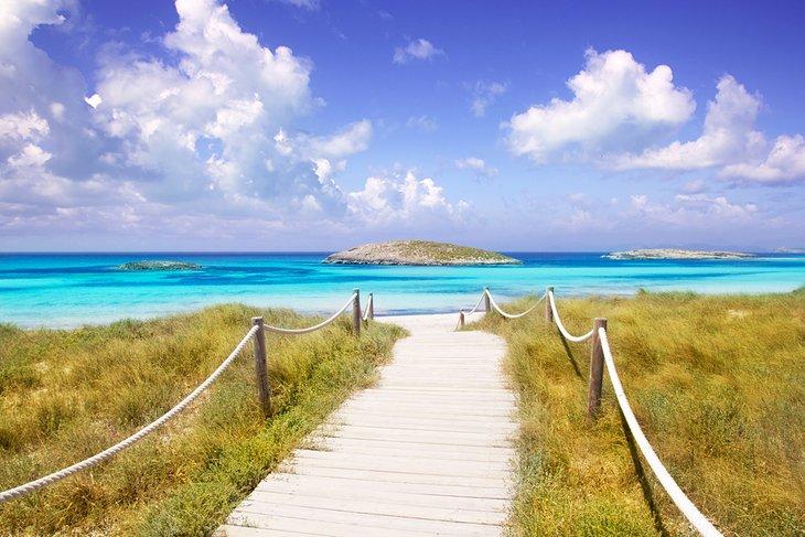 Camino hacia Playa de Ses Illetes