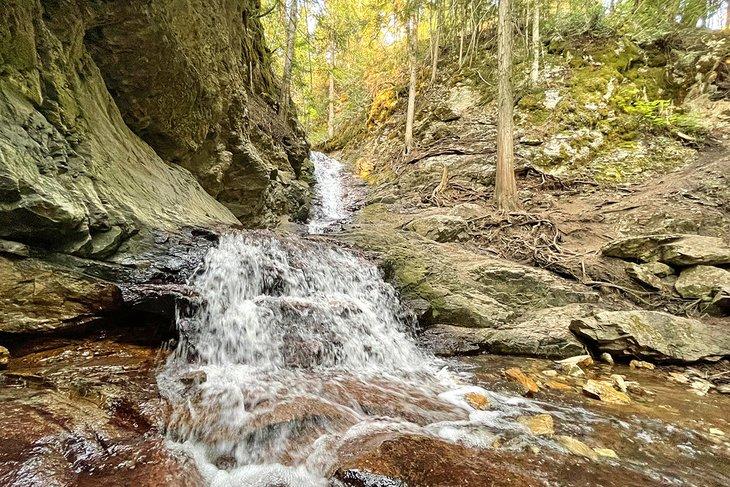 Chutes BX