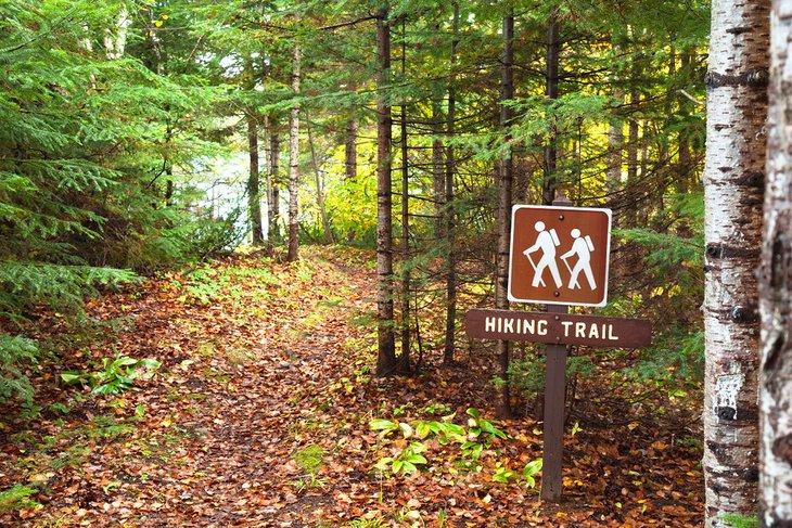 Sendero de senderismo en el Bosque Nacional Superior en el norte de Minnesota