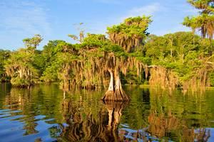 Lagos en Florida