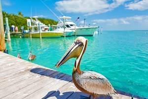 Florida en Imágenes: Lugares Bellos para Fotografiar