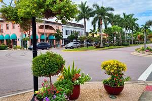 Cosas que Hacer en Venice, Florida
