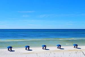 Cosas que Hacer en Seaside, FL