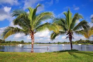 Cosas que Hacer en Coconut Creek, FL