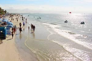Atracciones y Cosas que Hacer en Fort Myers, FL