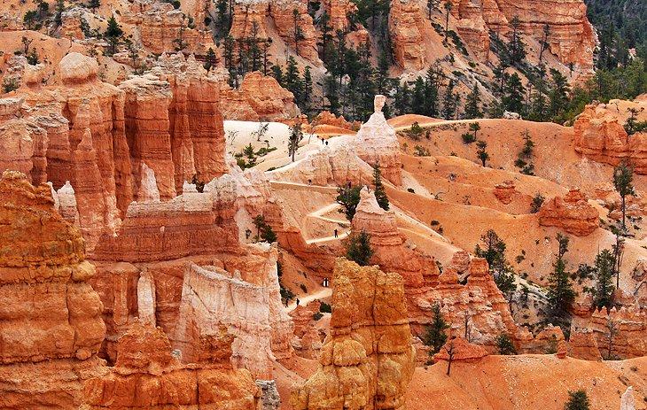 Sendero de combinación del Jardín de la Reina y el Loop Navajo