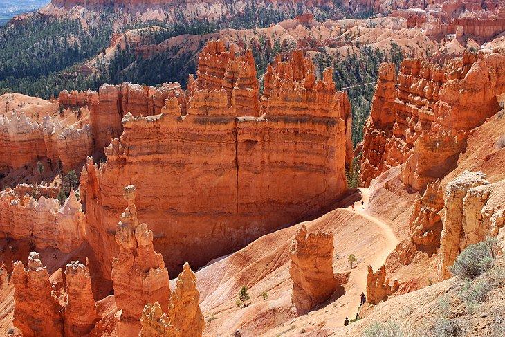 Sendero Navajo
