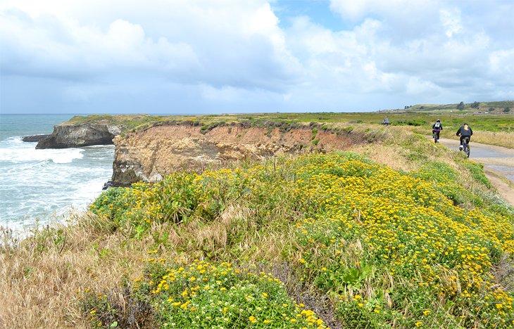 Sentier Old Cove Landing